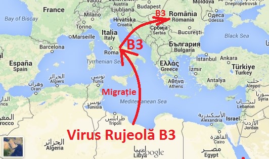 Update Concluzii Epidemia Mortală De Rujeolă Adusă în România Din